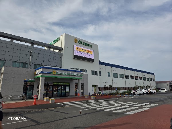 Hanaro Mart Aewol 1