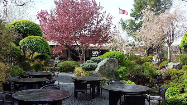 Domo Japanese Country Food Restaurant 1