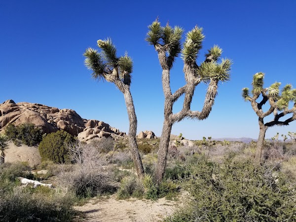 Skull Rock Trail 5