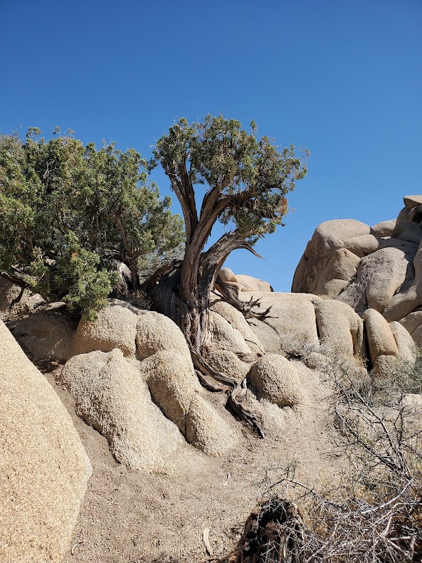 Skull Rock Trail 3