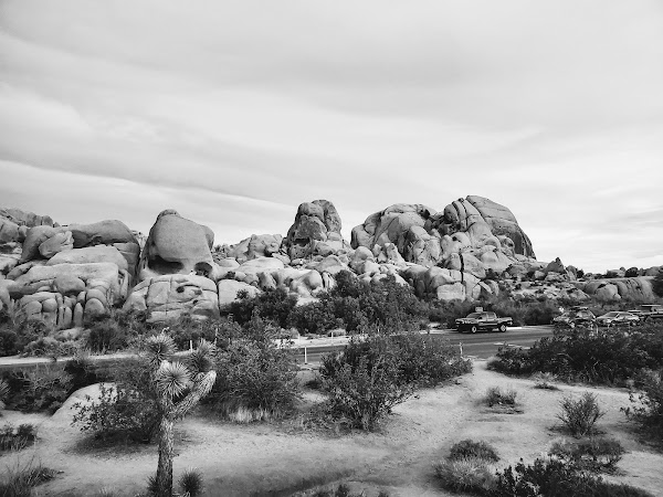 Skull Rock Trail 2
