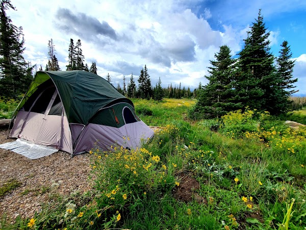 Point Supreme campground