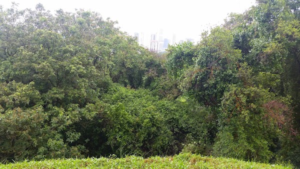 Mount Faber Leisure Group (Corporate Office)