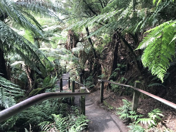 Kokoda Memorial Walk (The Thousand Steps)