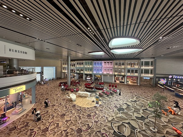 BLOSSOM - SATS & Plaza Premium Lounge (International Departures, Terminal 4) 4