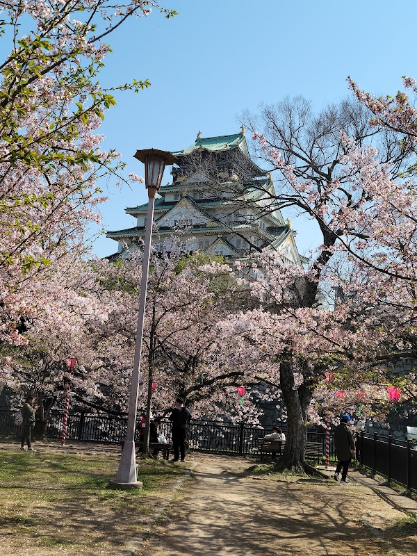 Osaka Castle Main Tower (Osaka Castle Museum) 6