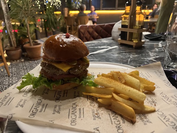 Organica Restaurant 3