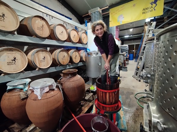 Adega Belém Urban Winery