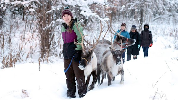 Running Reindeer Ranch 1