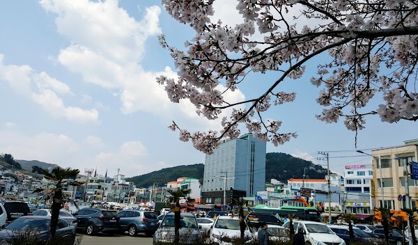 Tongyeong-si 4