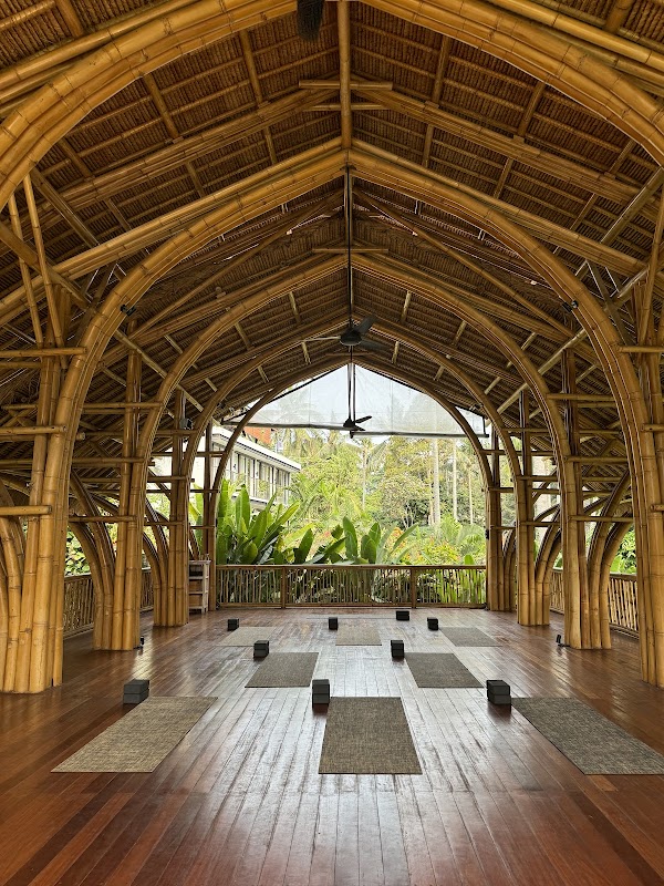 Lumeria Yoga