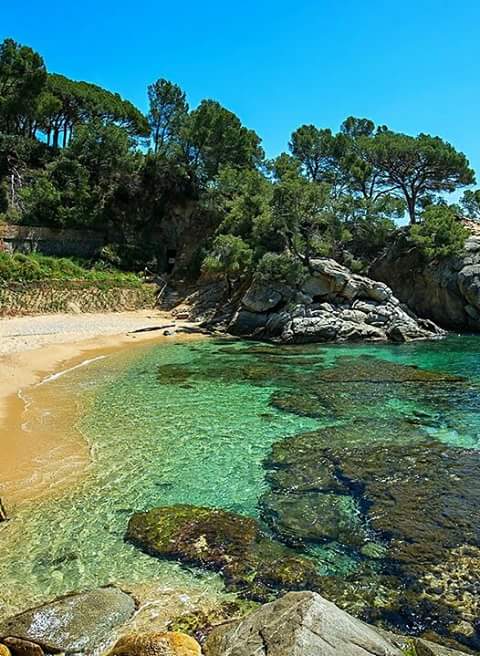 Cala Sa Conca 2