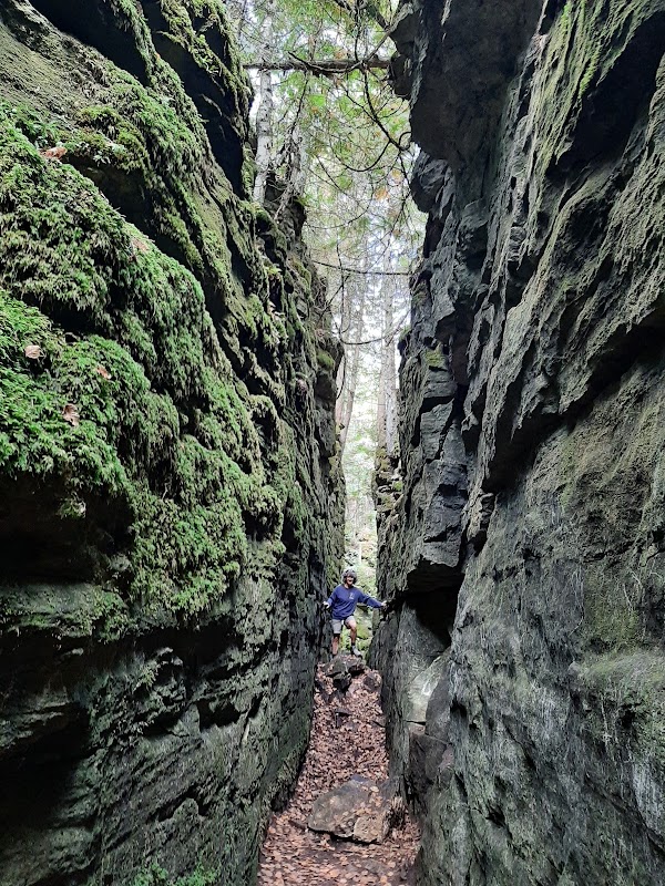 Nottawasaga Bluffs Conservation Area