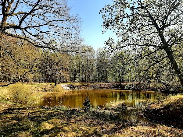 Boswachterij Odoorn 4