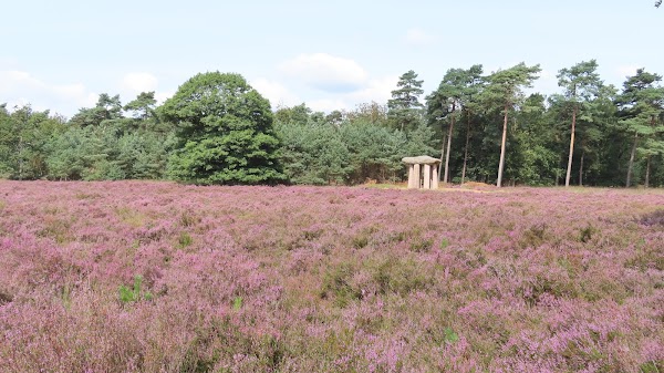Boswachterij Odoorn 3