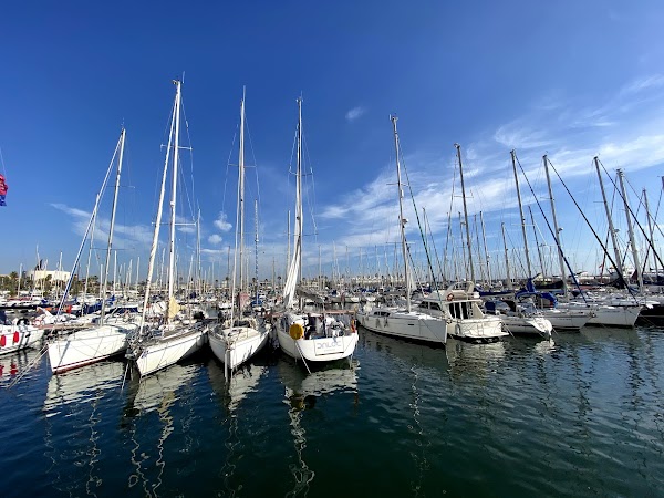 Port Olímpic 5