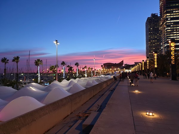 Port Olímpic 3