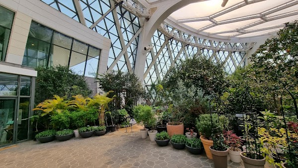 Theme Gardens 5
