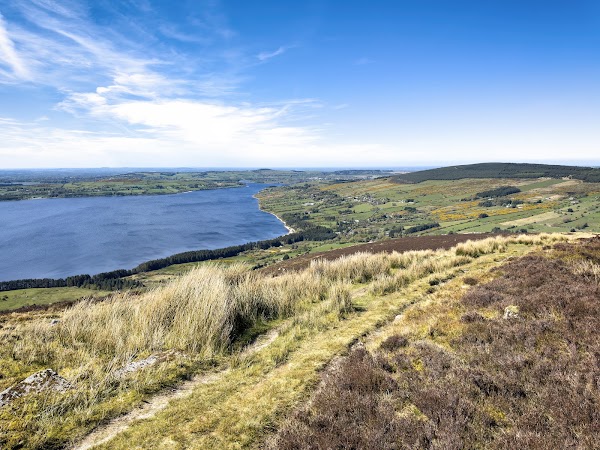 Pollaphuca Reservoir 1