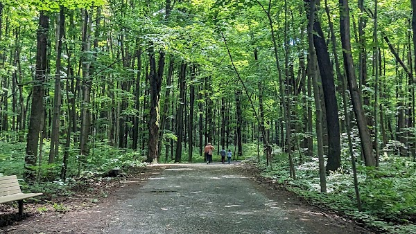 Morgan Arboretum 5