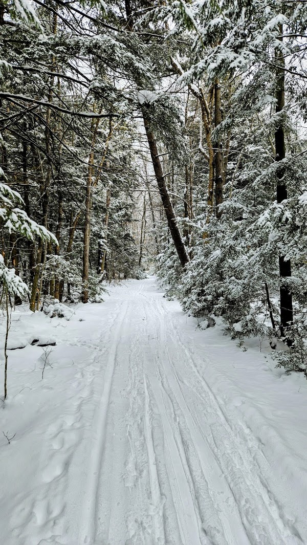 Morgan Arboretum 4