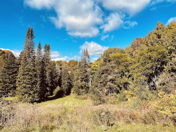 Morgan Arboretum 3