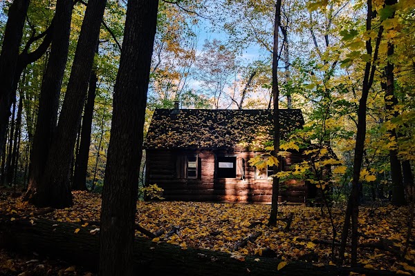 Morgan Arboretum 2
