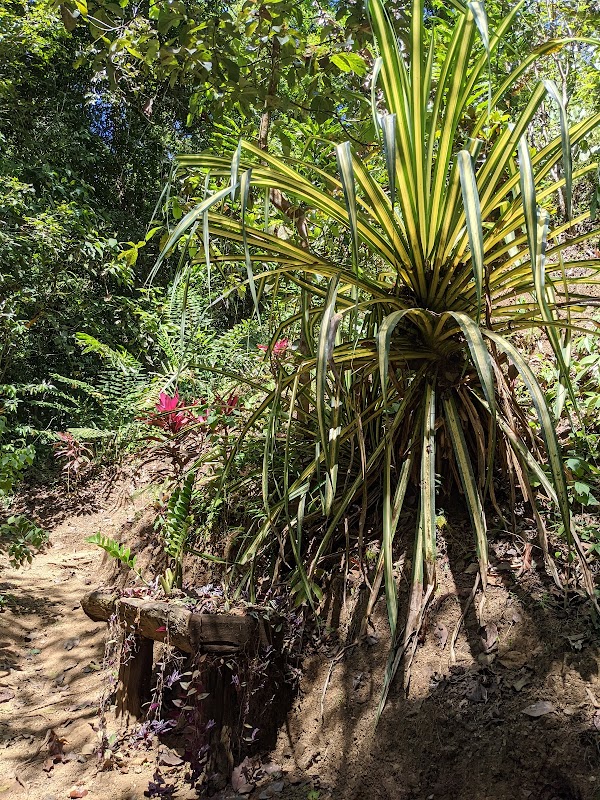 Costa Rica 2