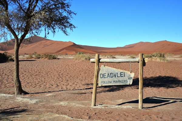 Deadvlei 4