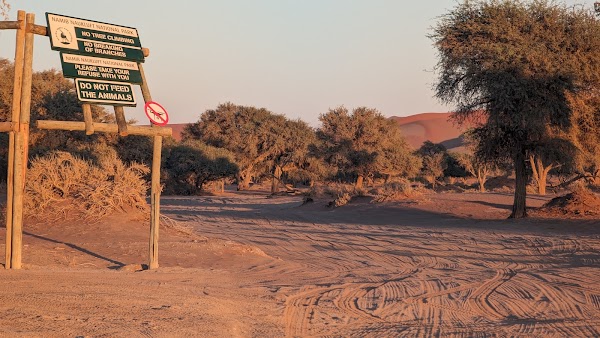 Deadvlei 2