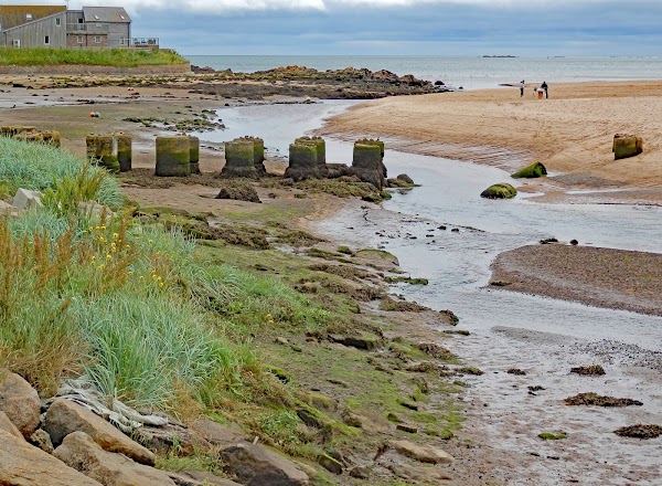 Cruden Bay 3