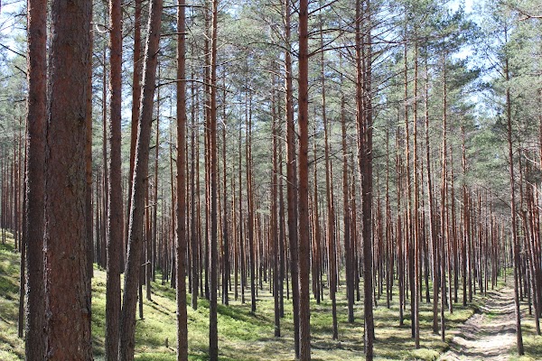 Aukštaitija National Park 3
