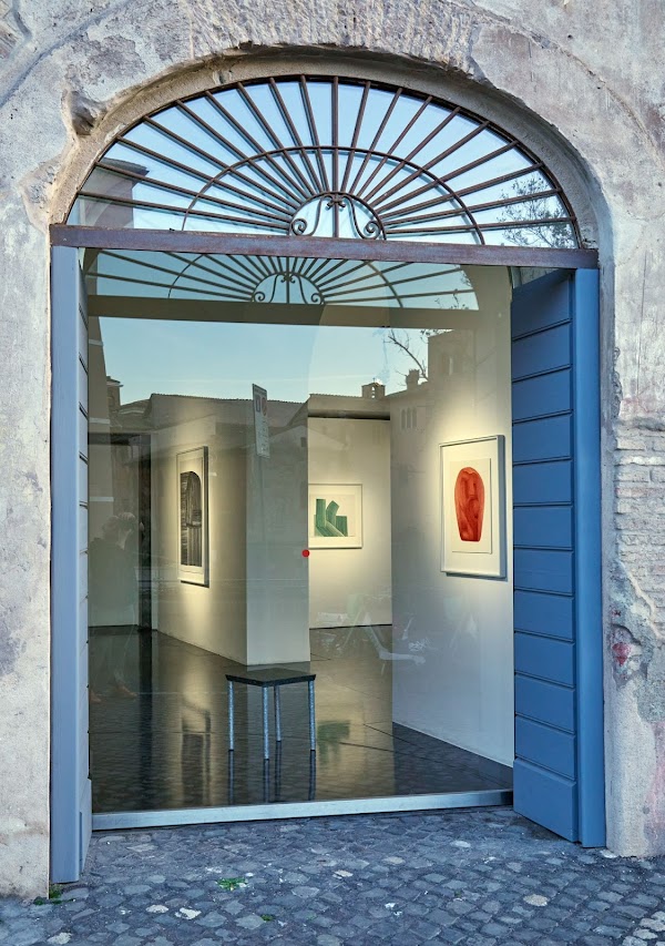Rhinoceros Roma