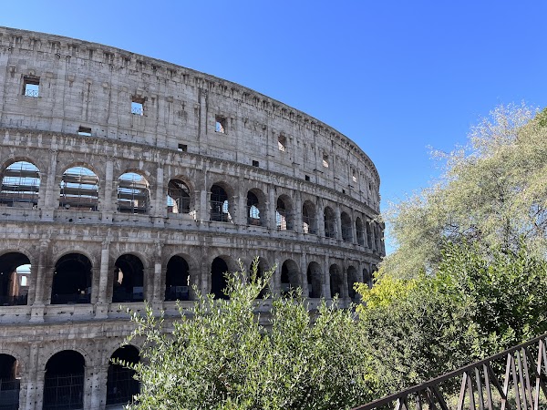Parco archeologico del Colosseo 5