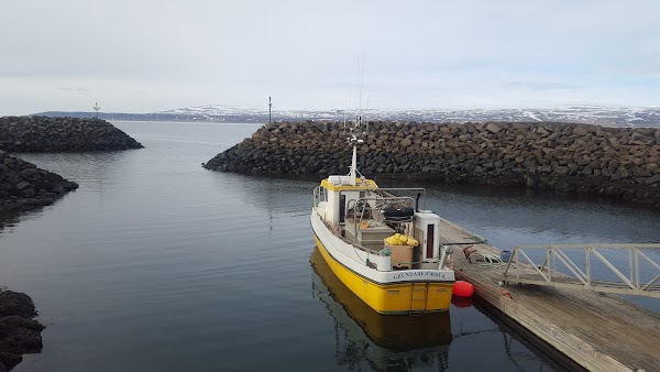 Búðardalur 5
