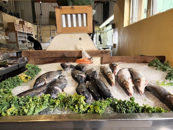 Phil's Fish Market & Eatery 6