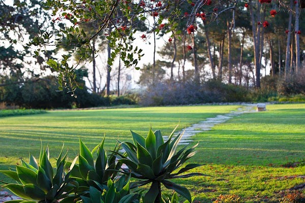 Ramat Hanadiv 1