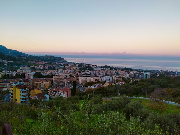 Patti 1