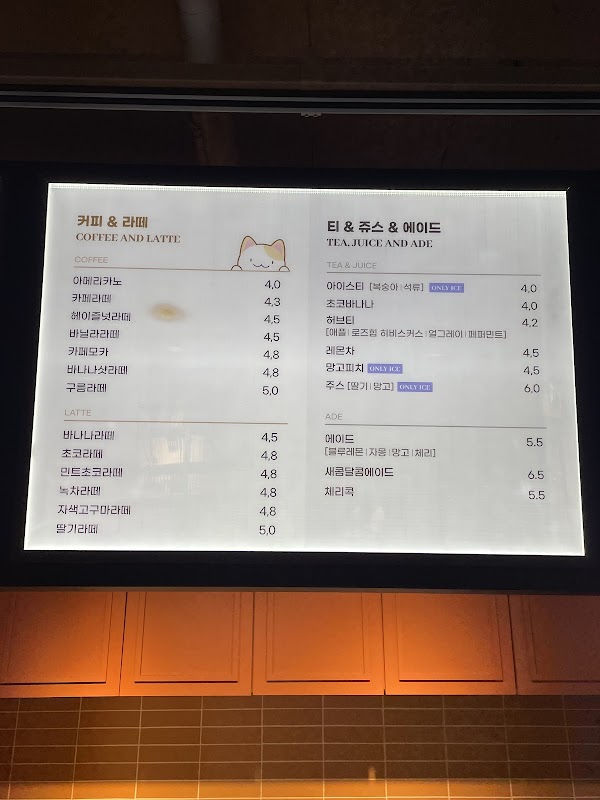 놀숲 프리미엄 홍대점 2