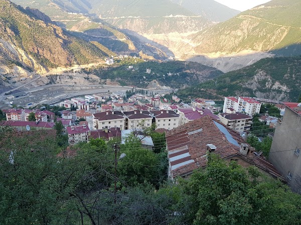 Artvin 1