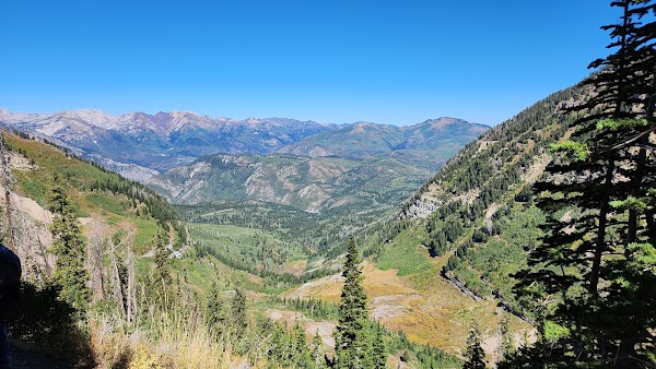 Uinta-Wasatch-Cache National Forest 5