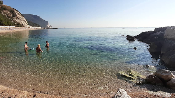 Le Marche  21