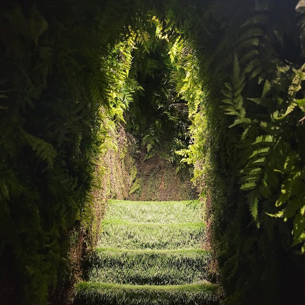Sumsei Terrarium
