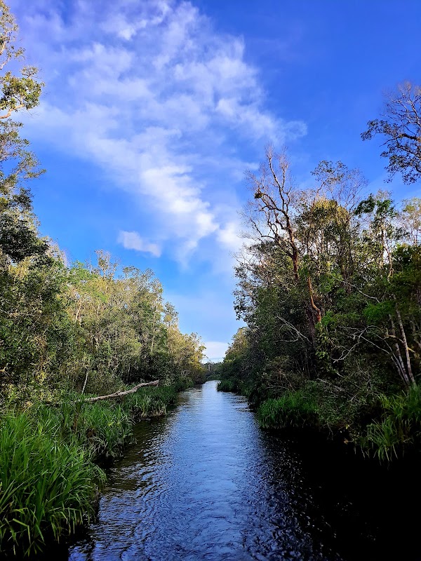 Camp Leakey 5