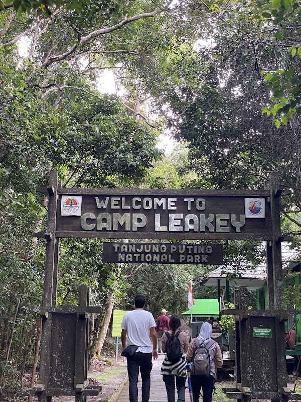 Camp Leakey 2