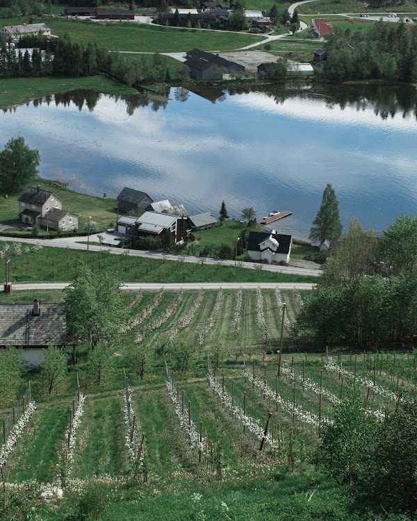 Ulvik 5