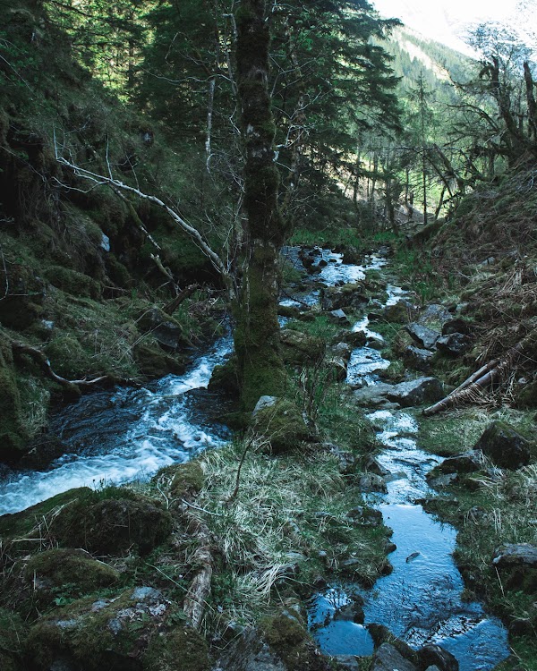 Ulvik 3