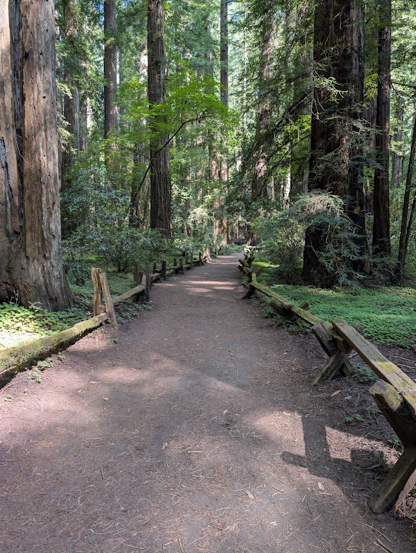 Armstrong Redwoods State Natural Reserve 1