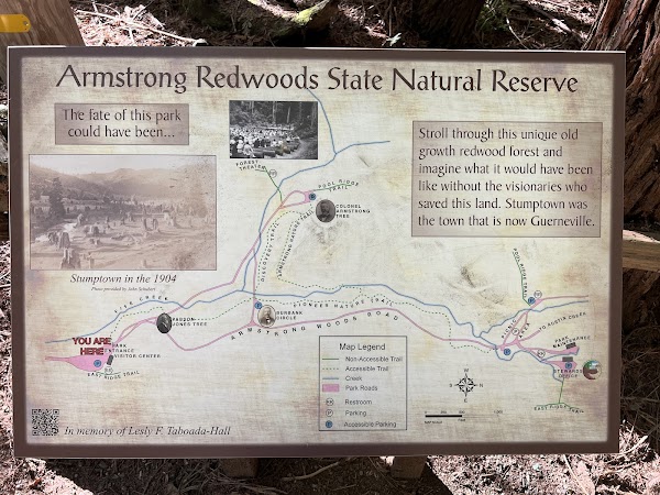Armstrong Redwoods State Natural Reserve 4