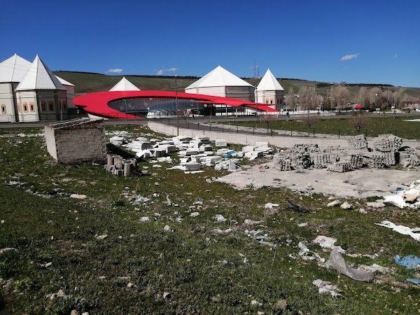 Sarıkamış 2